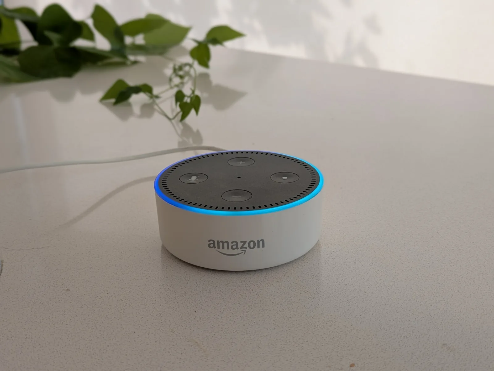 A white Amazon Echo Dot (2nd generation) on a kitchen counter, glowing blue around its ring, with a trailing pothos plant behind it.